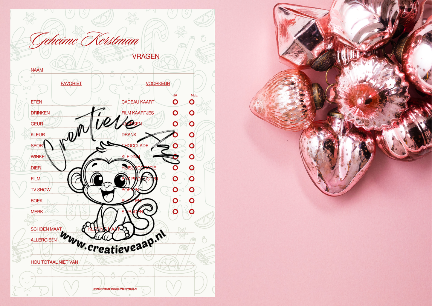 π
Geheime Kerstman β Vragenlijst (PDF Download)
