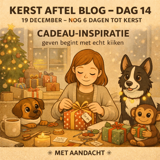 🎄 KERST AFTEL BLOG – DAG 14 (19 december) — nog 6 dagen tot kerst