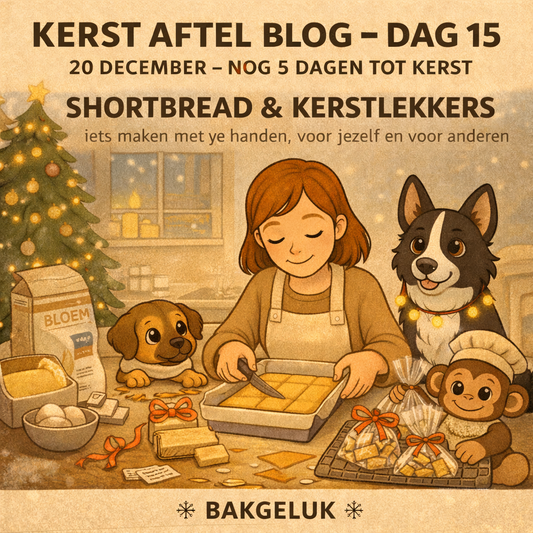 🎄 KERST AFTEL BLOG – DAG 15 (20 december) — nog 5 dagen tot kerst