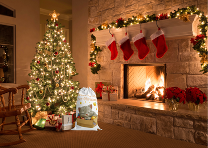 🎁 Shelby – Wake Me Up After Christmas Cadeauzak (Duurzaam & Herbruikbaar)